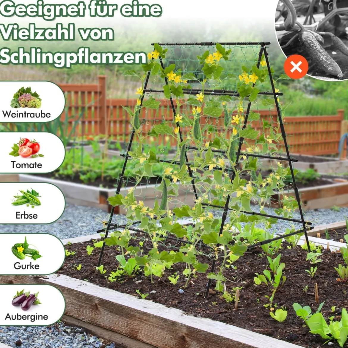 A-förmige Gurke Rankhilfe mit Gartennetz & Pflanzenclips Metall Pflanzenhalter Rankgitter