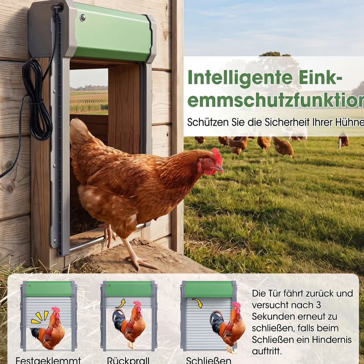 Automatisch Hühnerklappe Solar Hühnertür 4 Modi mit Timer Lichtsensor & Fernbedienung
