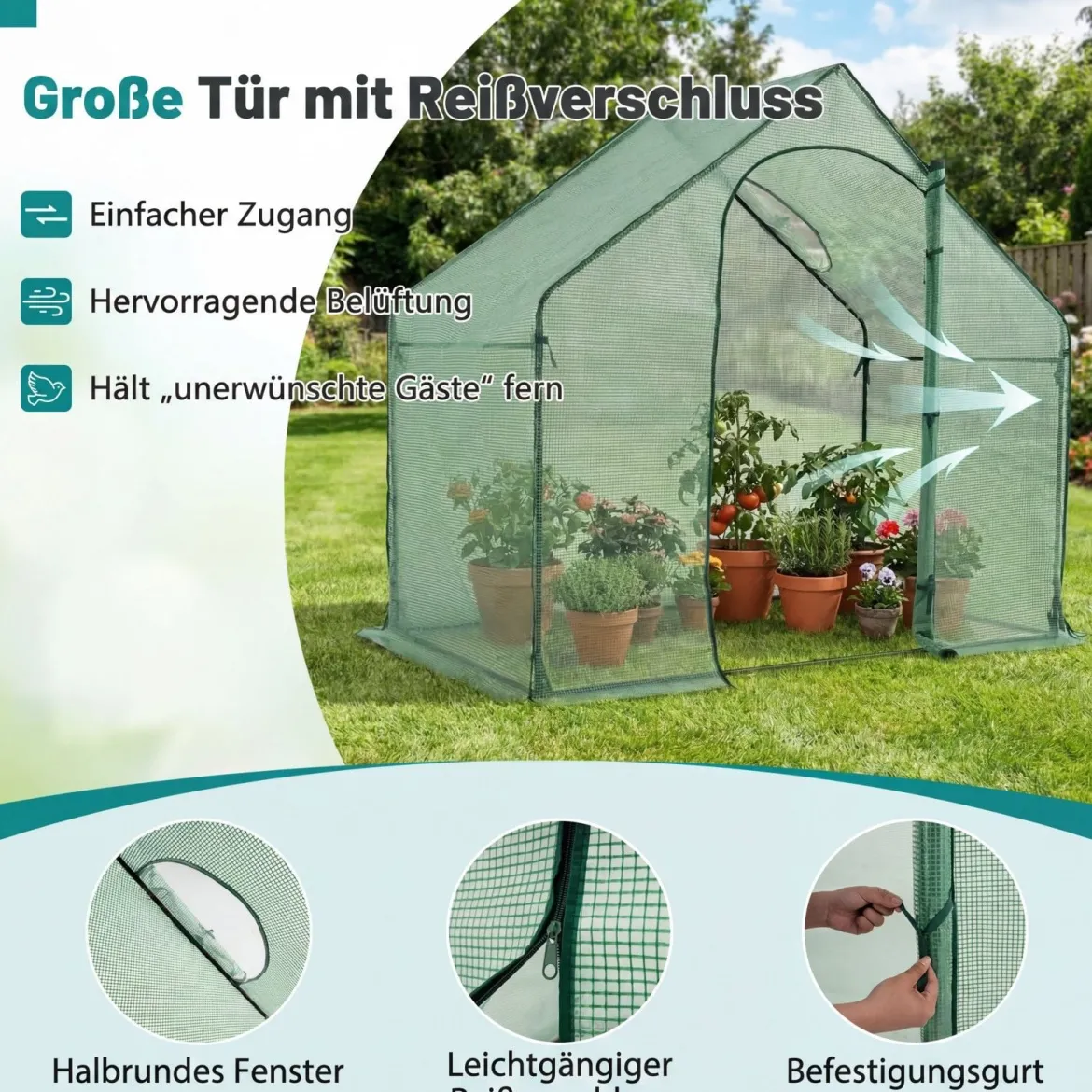Begehbares Gewächshaus Foliengewächshaus mit PE-Abdeckung & Metallrahmen Tomatengewächshaus mit Fenster