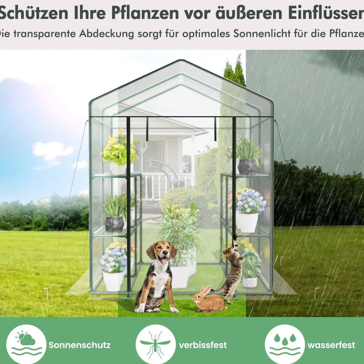 Begehbares Gewächshaus mit 4 Ebenen und 8 Regalen PVC-Abdeckung aufrollbare Tür Transparent