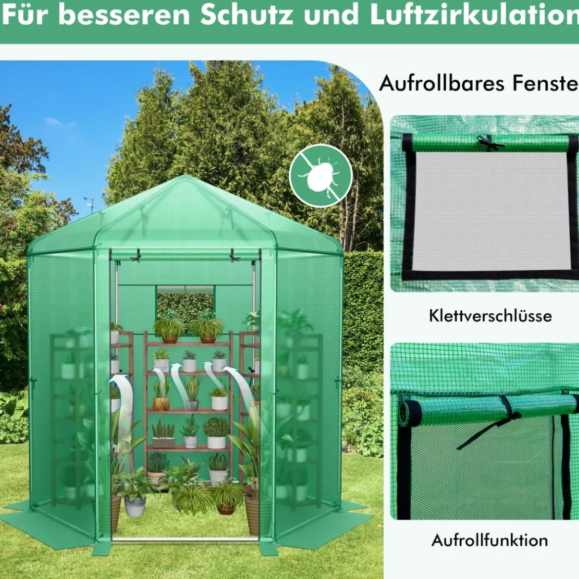 Begehbares Gewächshaus mit PE-Abdeckung & Metallrahmen Sechseckiges Treibhaus Grün