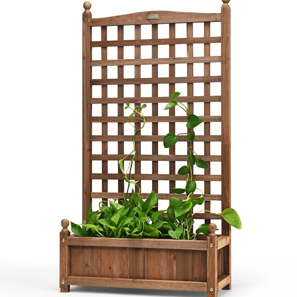 Blumenkasten mit Rankgitter Pflanzkasten Holz für Kletterpflanzen Hochbeet mit Spalier 64,5 x 28 x 120 cm Braun