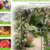 213 cm Gartenlauben-Futterstation robuster Gartenbogen mit Wasserschale Gittertablett Fettfutterspender Schwarz
