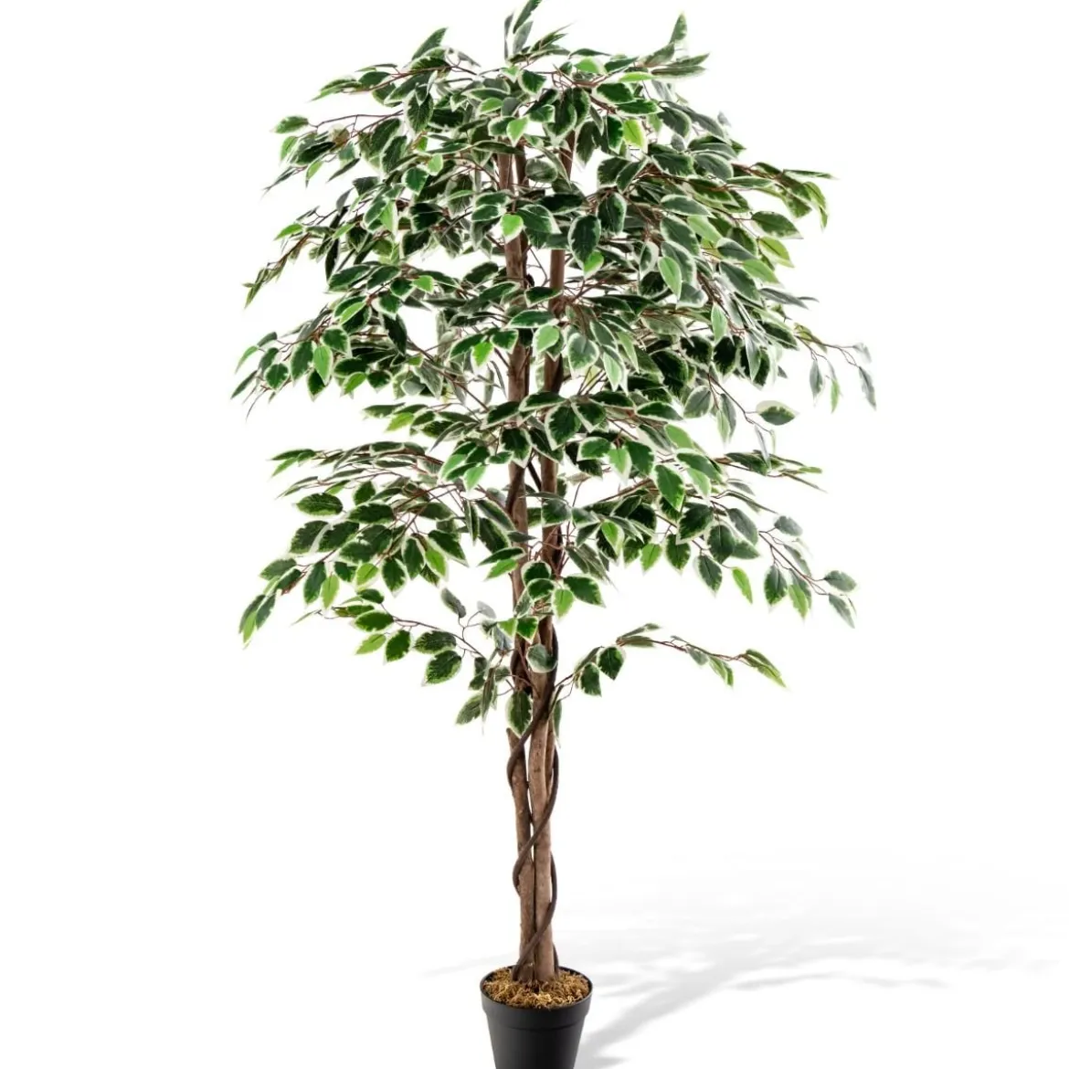 160 cm Künstlicher Ficus-Baum mit 1008 Blättern & Natürlichem Holzstamm & Stabiler Blumentopf