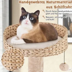 164 cm Kratzbaum mit Sitzstange & Rohrkolben Korbbett 6-stöckiges Kletterbaum Katzenbaum