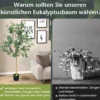165 cm Kunstpflanze Deko Eukalyptusbaum mit Zementtopf Eukalyptus Zimmerpflanze