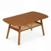 Couchtisch Beistelltisch 2 Ebenen mit Offener Ablage Wohnzimmertsich 100 x 53,5 x 45,5 cm Walnuss