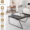 2 Couchtischen Moderner Beistelltisch 120 x 60 x 46 cm Schwarz + Braun
