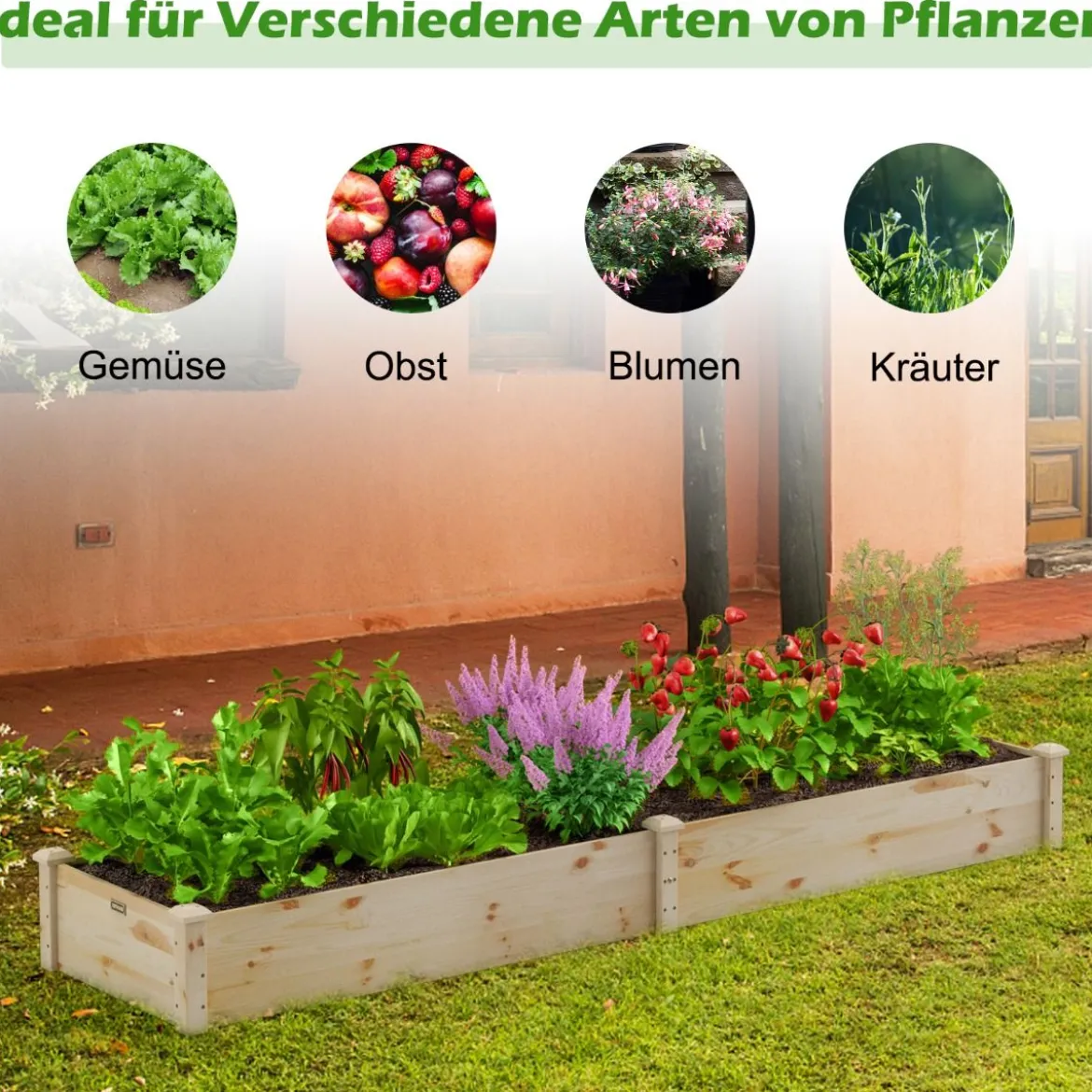 Erhöhtes Holzbeet Outdoor-Holzpflanzkasten für Gemüse 240 x 60 x 25 cm Natur