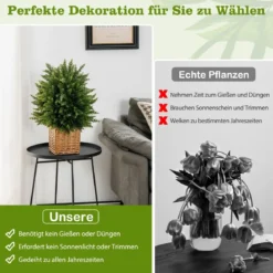 2er Set 55 cm Kunstpflanze mit Topf Zeder Buchsbaum Kunstbaum für Haus Büro Grün