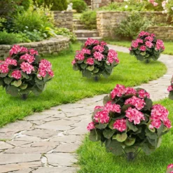 2er Set Künstliche Geranien mit realistischer PE-Stamm & Seidenblumen & -blätter Rosa