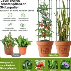 3er Set Tomaten Rankhilfe mit Verstellbare Höhe & 3 Ringe Pflanzenkäfig Pflanzenstütze 154 cm Hoch