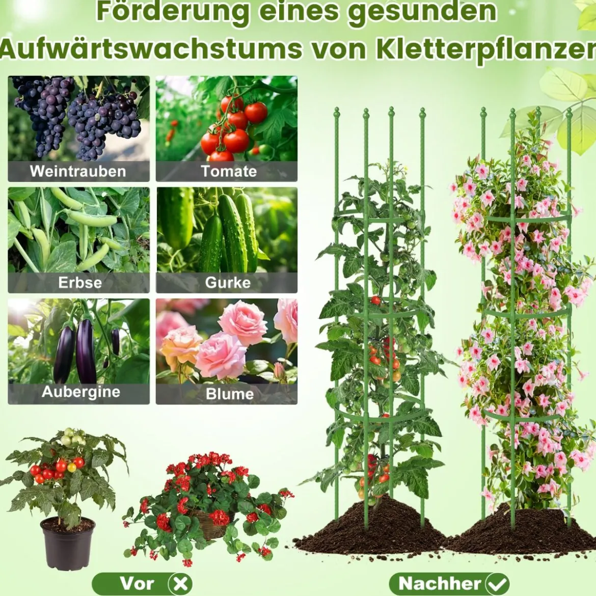 2er Set Tomaten Rankhilfe mit Verstellbarer Höhe & 6 Ringe Tomatenkäfig Pflanzenkäfig