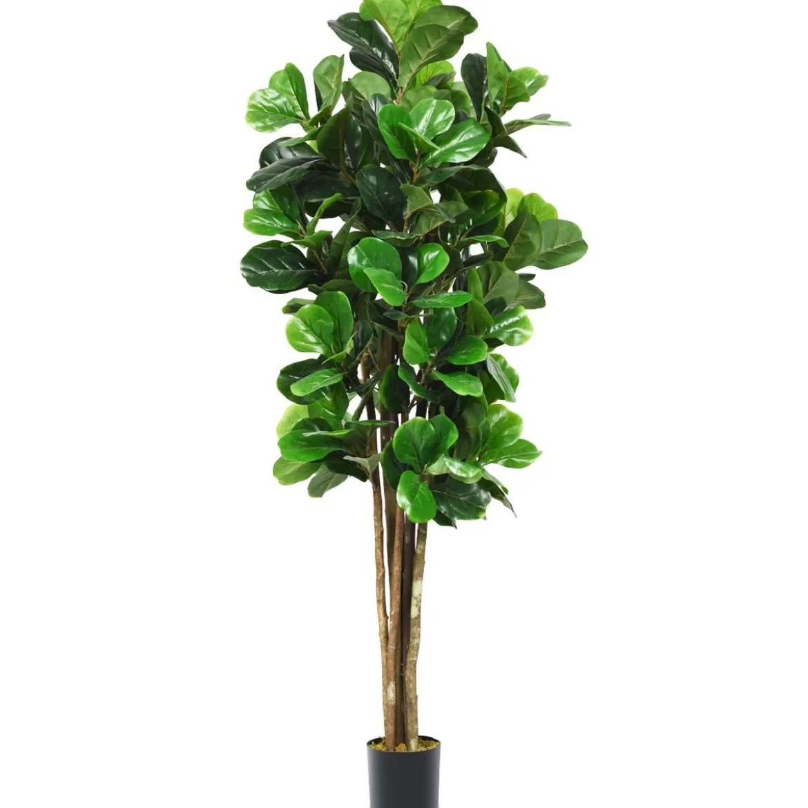 Grünpflanze Dekopflanze 180 cm Künstlicher Feigenbaum Natürlich