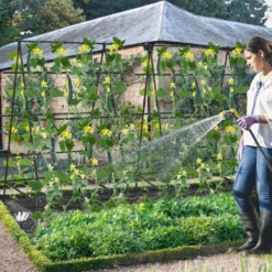 Gurken-Trellis mit Netz für Kletterpflanzen & Kunststoffbeschichteten Metallstangen & Clips Pflanzenstütz