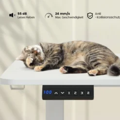 Höhenverstellbarer Schreibtisch 140 x 60 cm elektrischer Stehschreibtisch Weiß