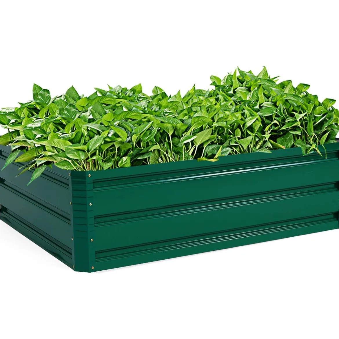 Hochbeet Stahl Rechteckiges Pflanzkasten Erhöhtes Gartenbeet Frühbeet für Gemüse Blumen Kräuter Grün 100 x 30,5 x 80 cm