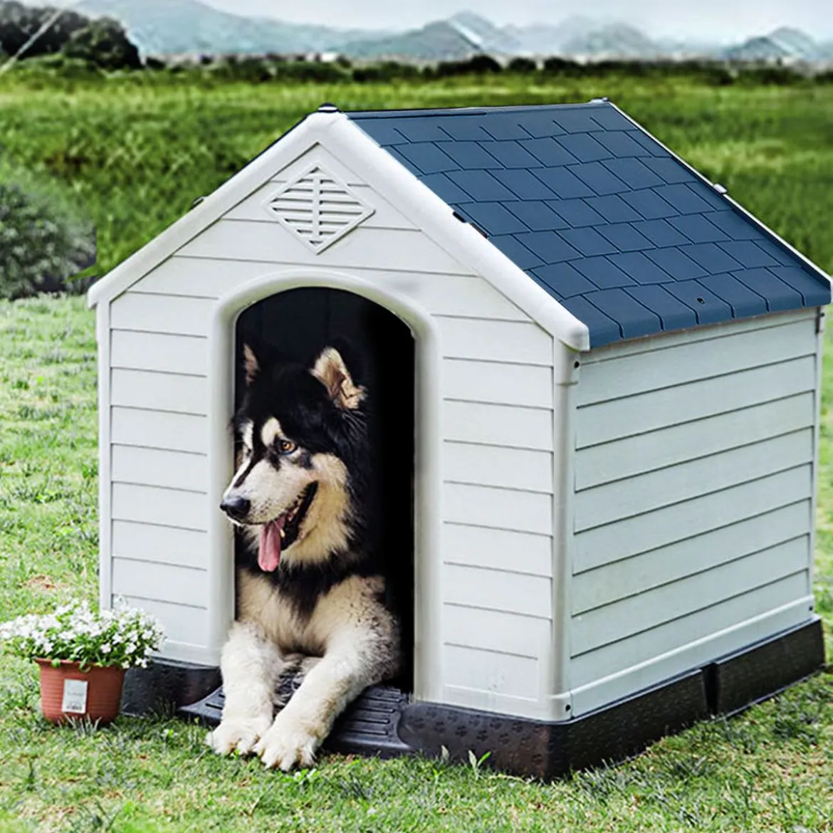 Hundehütte Hundehaus Hundehöhle mit Erhöhtem Boden Blau und Weiß