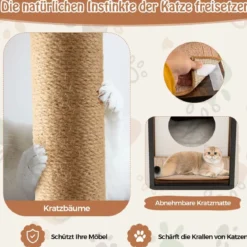 3 in 1 Katzenhaus & Kratzbaum & Beistelltisch Katzenhöhle mit Abnehmbarer Kratzmatte & Ball Braun