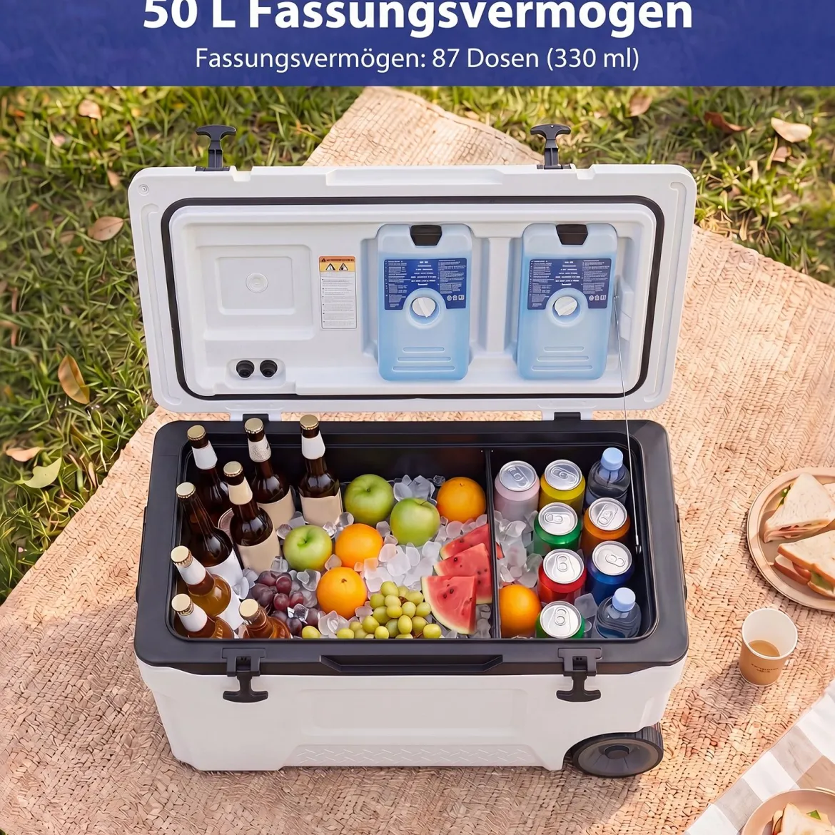 Kühlbox 50 L Große Thermobox aus Kunststoff mit Rollen & Griff Isolierbox mit Ablaufstopfen Grau/Weiß