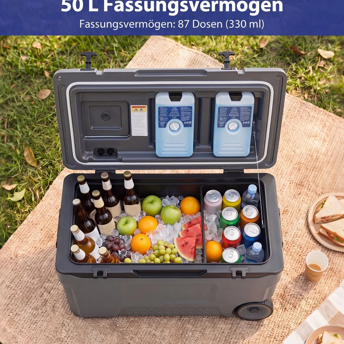 Kühlbox 50 L Große Thermobox aus Kunststoff mit Rollen & Griff Isolierbox mit Ablaufstopfen Grau/Weiß