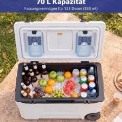 Kühlbox 70 L Große Thermobox aus Kunststoff mit Rollen & Griff Isolierbox mit Ablaufstopfen Grau/Weiß