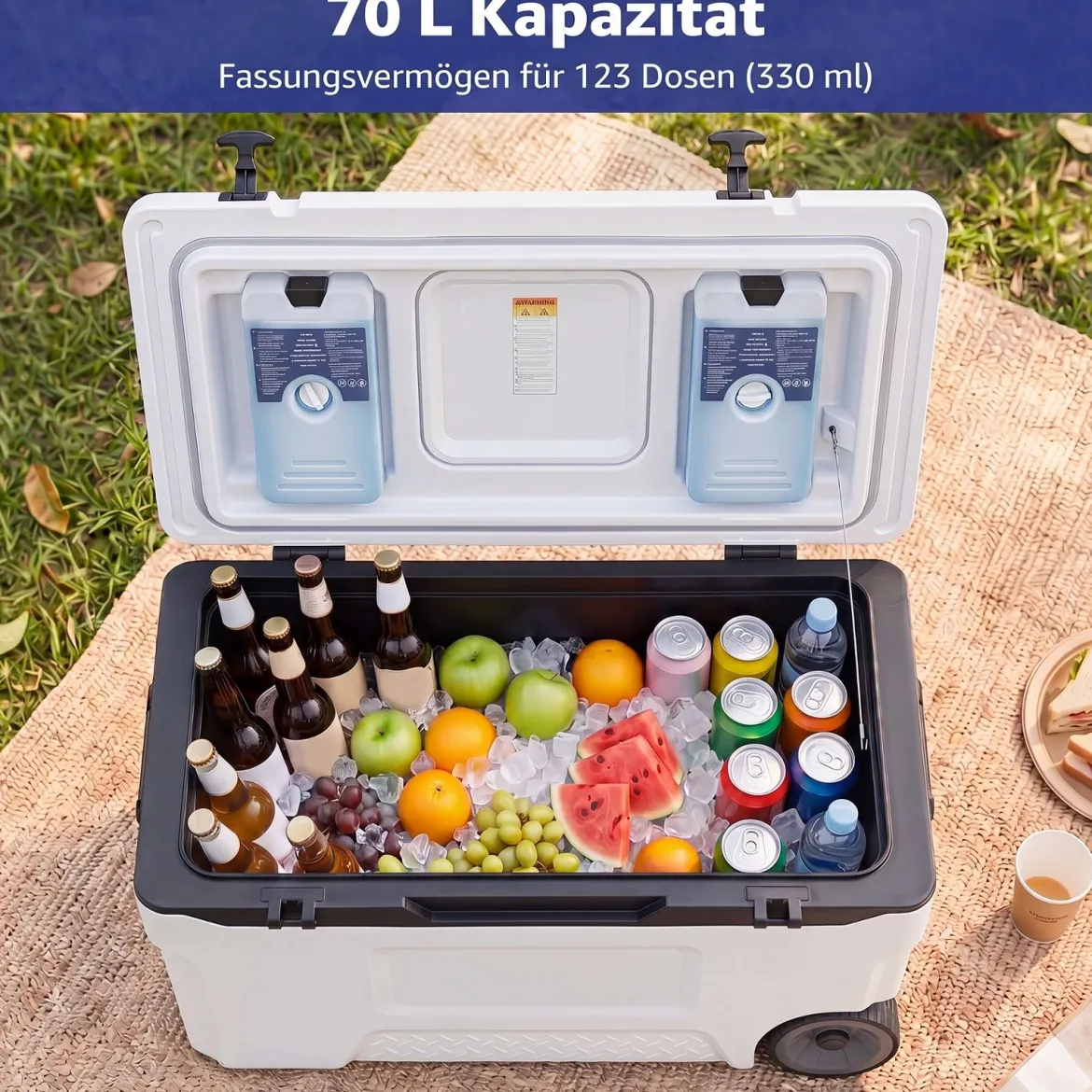 Kühlbox 70 L Große Thermobox aus Kunststoff mit Rollen & Griff Isolierbox mit Ablaufstopfen Grau/Weiß
