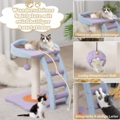 Kleiner Katzenbaum mit Leiter & weicher Sitzfläche & Ball & Basis39,5 x 39,5 x 48,5 cm Lila + Blau