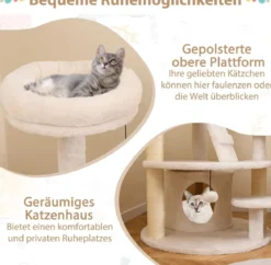 Klein Kratzbaum mit Katzenhöhle & Ball & Leiter Holz Katzenbaum Katzenkratzbaum Weiß