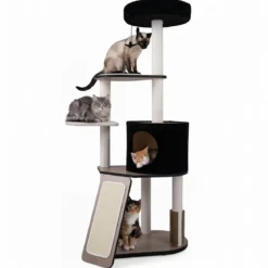 Kratzbaum 155 cm Hoch Vielseitiger Katzenbaum mit Kratzsäulen Weich Gepolsterter Höhle & 3 Plattformen