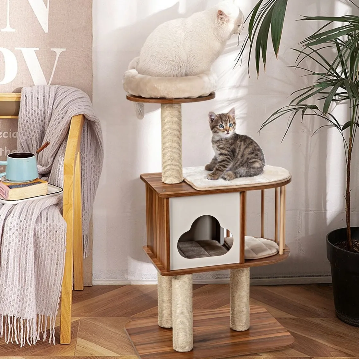 Kratzbaum Holz Katzenbaum Katze Höhle Kletterbaum mit waschbaren Kissen Katzenkratzbaum