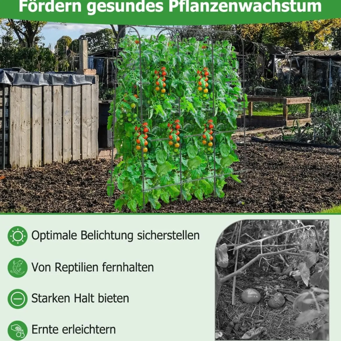 Metallgitter mit Ranknetz für Kletterpflanzen Unterstützung U-förmiges Hohes Gartengurkengitter