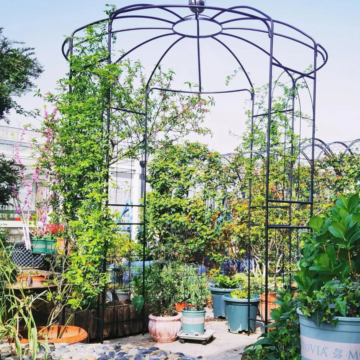 Metall Rosenbogen für Kletterpflanzen Rosenpavillon Gartenbogen Torbogen Rosengitter