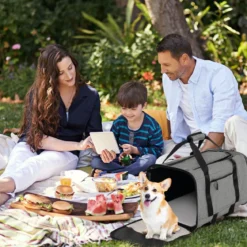 Mobile Transportbox mit Teleskopgriff & Rädern & Kleine Tasche für Katze Hunde Grau