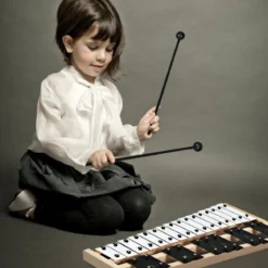 27 Noten Xylophon mit 2 Schlägeln & Tragetasche Glockenspiel Handpercussion Percussion