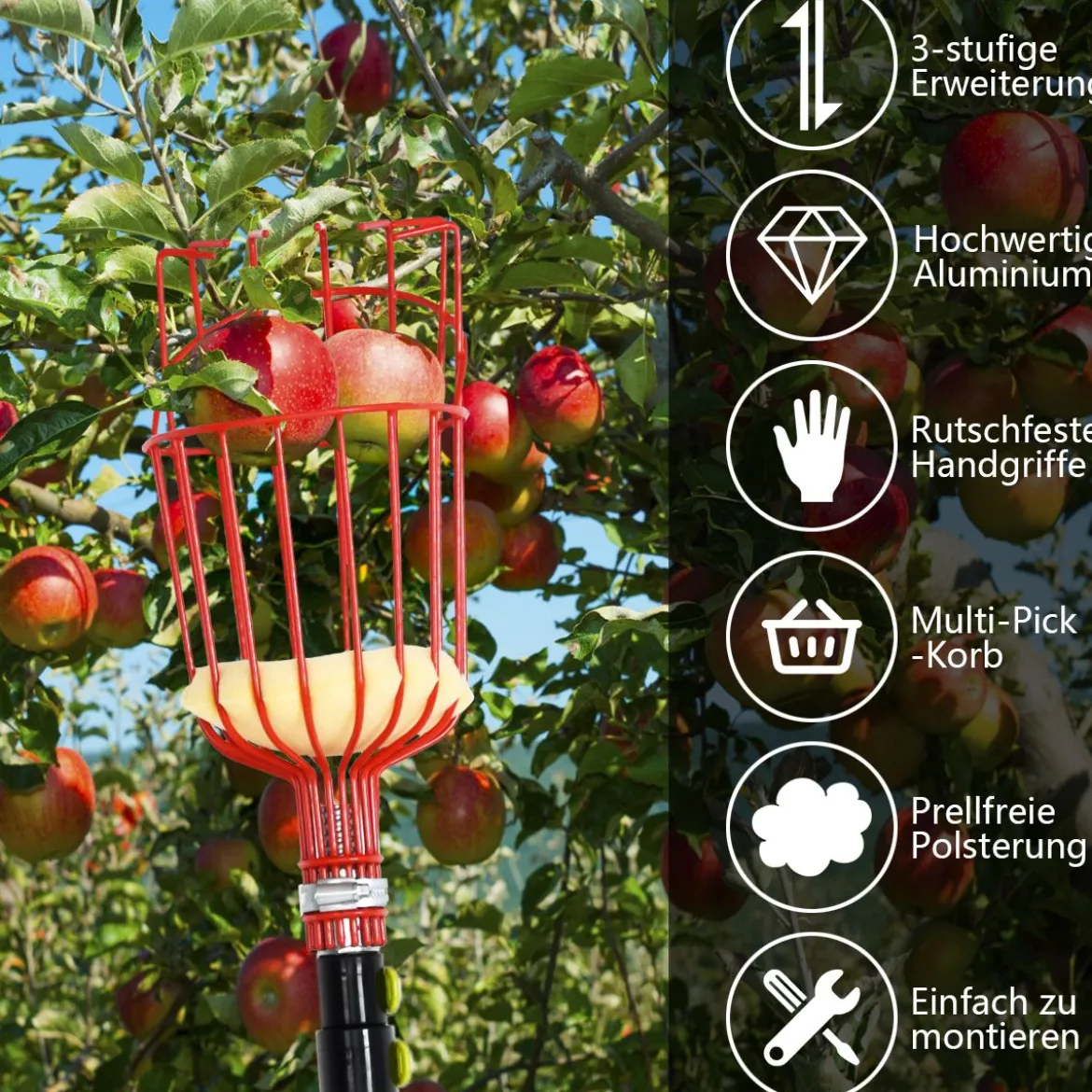 Obstpflücker mit Korb Teleskopstiel Apfelpflücker Teleskopstange Obstpflückwerkzeug Metallpflückkopf Obstfänger 145-366cm