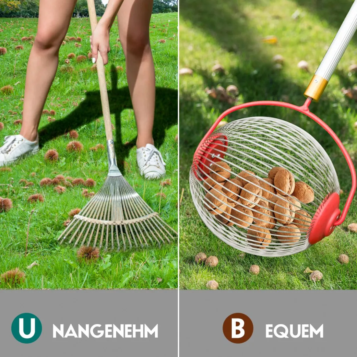 Obstsammler Nusssammler Rollsammler für Aufsammeln von Früchte Nüsse Golfbälle Edelstahl70-128cm