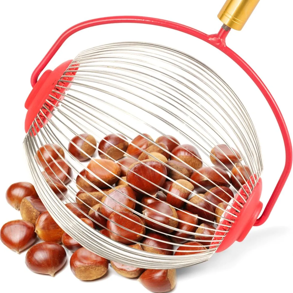 Obstsammler Nusssammler Rollsammler für Aufsammeln von Früchte Nüsse Golfbälle Edelstahl70-128cm