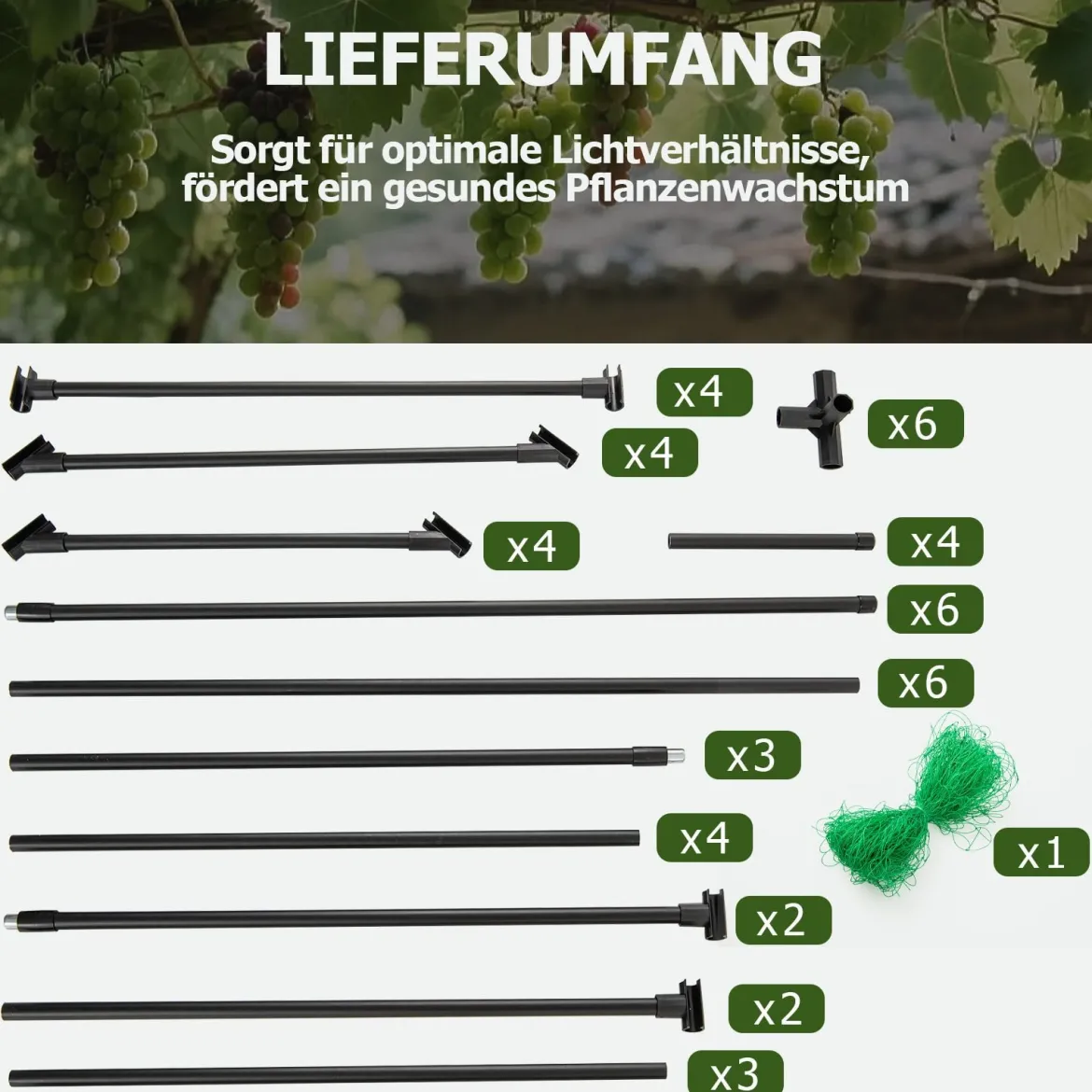 Rankgitter für Kletterpflanzen Rankhilfe Rankbogen Torbogen Gartenbogen 200 x 150 x 197 cm