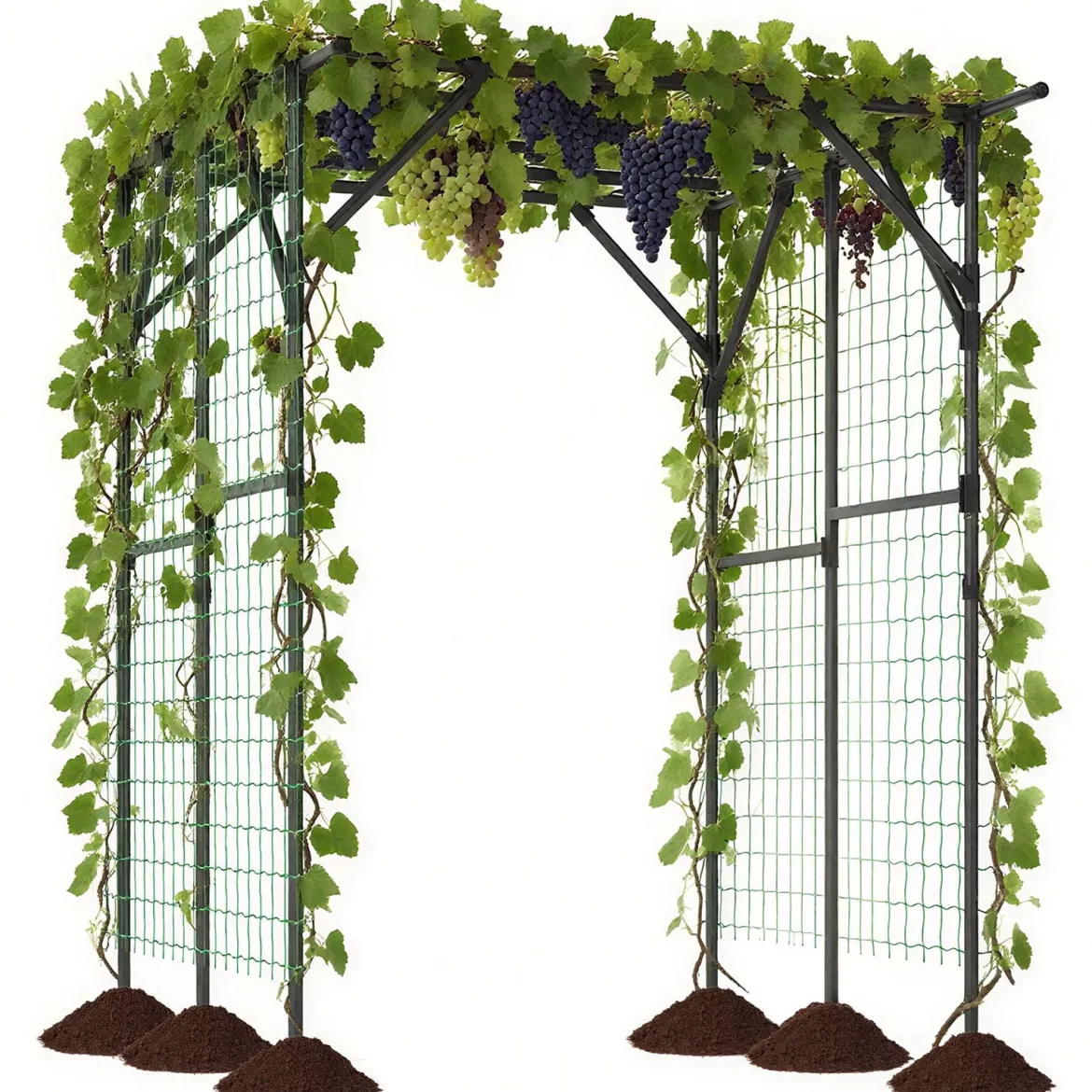 Rankgitter für Kletterpflanzen Rankhilfe Rankbogen Torbogen Gartenbogen 200 x 150 x 197 cm