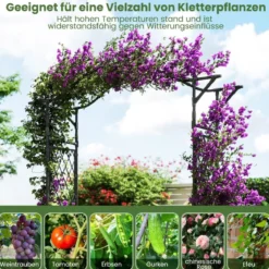Rosenbogen Metall Gartenbogen für Kletterpflanzen Torbogen Garten Rosengitter Rankhilfe Rankgitter 170 x 39 x 210 cm Schwarz