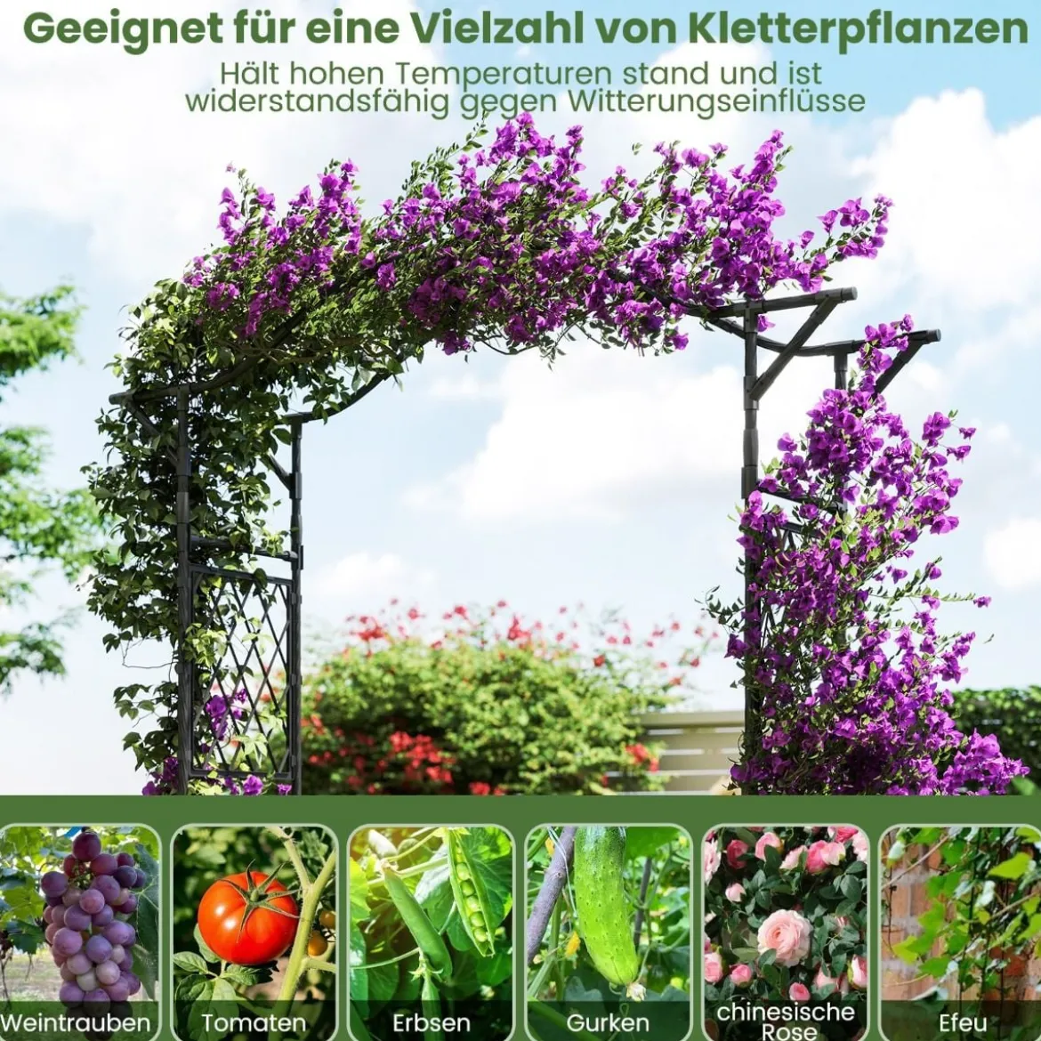 Rosenbogen Metall Gartenbogen für Kletterpflanzen Torbogen Garten Rosengitter Rankhilfe Rankgitter 170 x 39 x 210 cm Schwarz