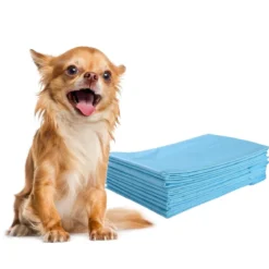 300 Stück Hunde Trainingsunterlagen Auslaufsicheres 5-lagiges Design 60 x 40 cm