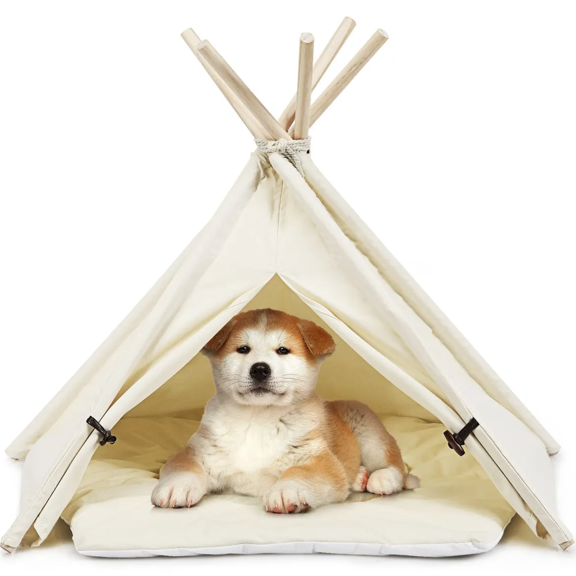 Tipi für Haustiere Zelt mit dickem und rutschfestem Kissen tragbares Haustierhaus Hundezelt Katzenzelt Beige
