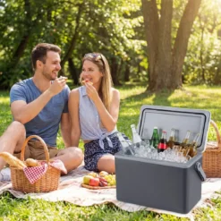 Tragbare Hartschalen-Kühlbox 12 L isolierte Kühlbox mit Komfortgriff auslaufsichere Kühltruhe Dunkelgrau