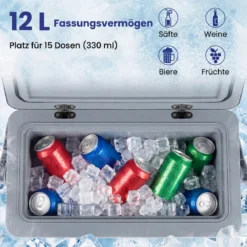 Tragbare Hartschalen-Kühlbox 12 L isolierte Kühlbox mit Komfortgriff auslaufsichere Kühltruhe Dunkelgrau