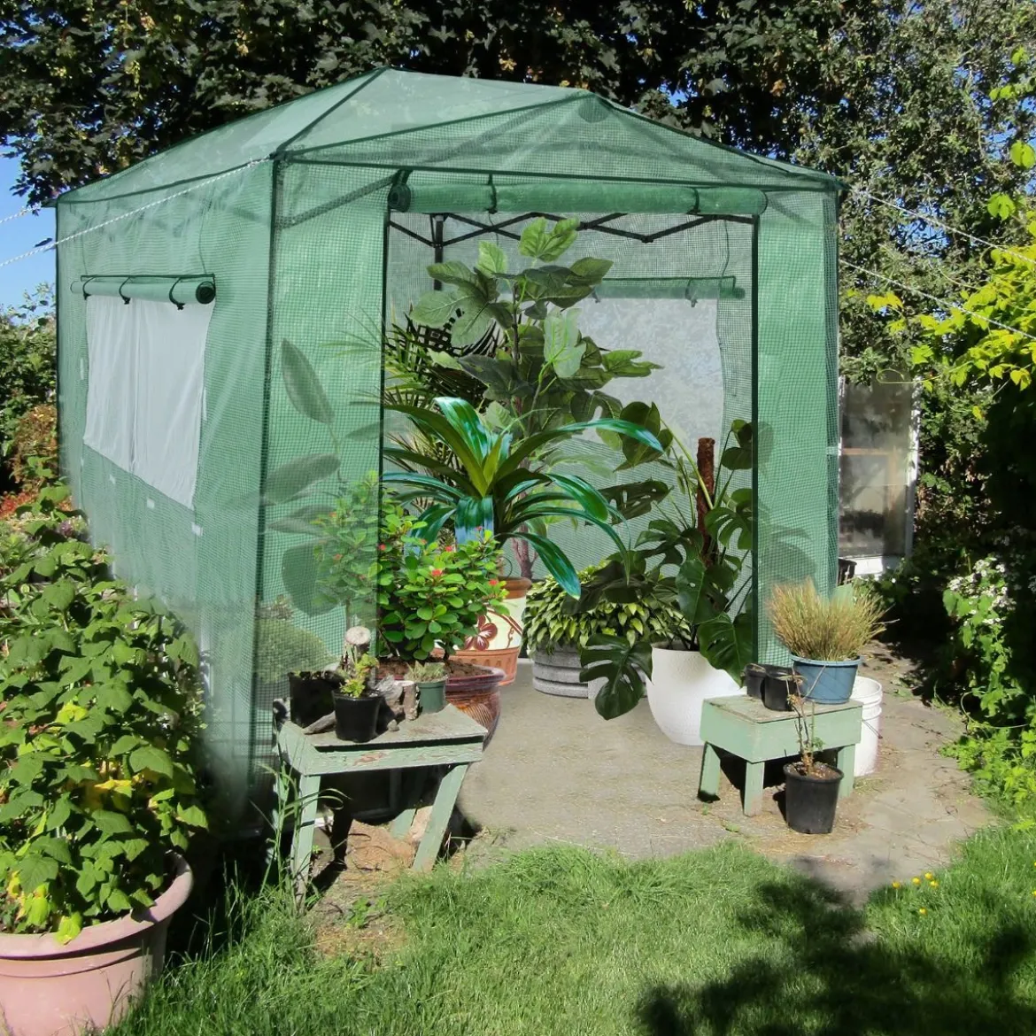 Tragbares Pop-up-Gewächshaus Begehbares Gartengewächshaus 180 x 250 x 230 cm Grün