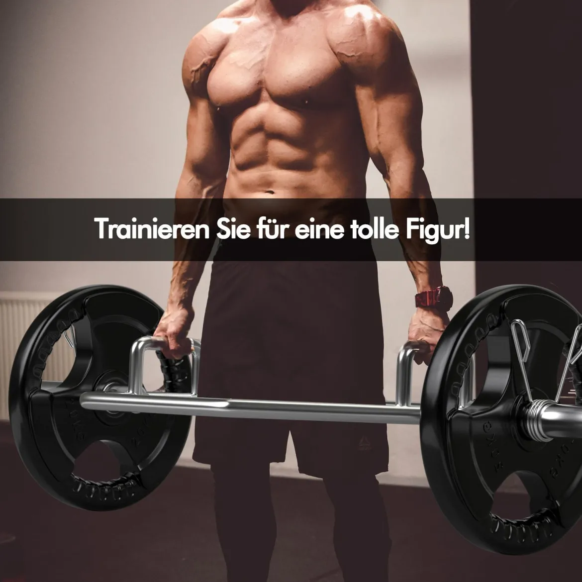Trap Bar mit 2 Federverschlüsse & Klappbarem Griff Hantelstange Hex Bar Olympic Bar Silber