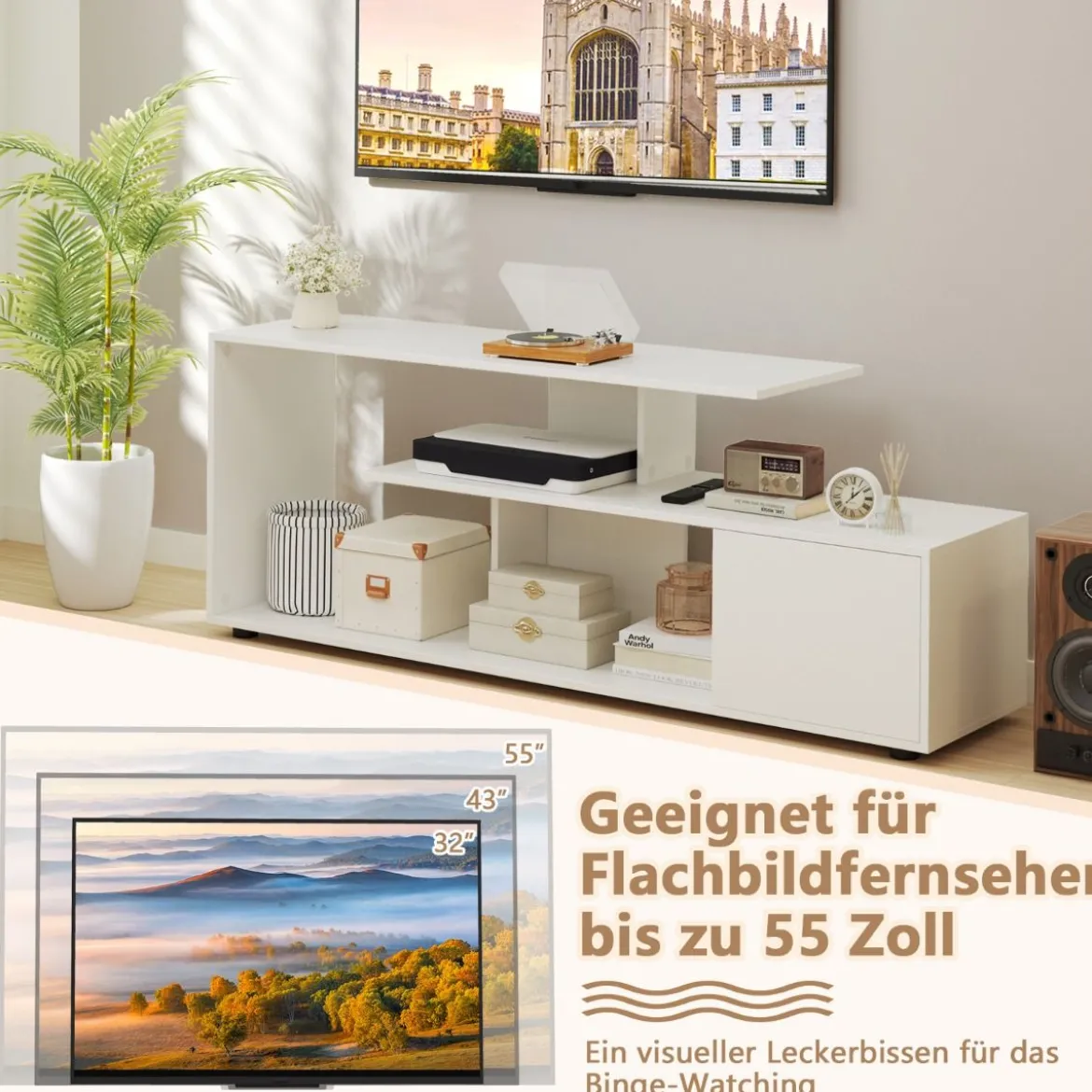 TV-Ständer für Fernseher bis zu 55 Zoll mit Ablageflächen & Schrank TV Schrank Lowboard