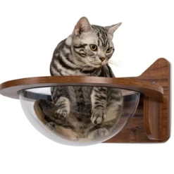Wandliege Katzenliege Katzenbett Holz Katzen Korb transparent Katzenregal Wandmöbel Katzentreppe
